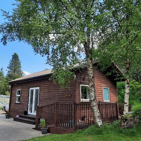Studio Neustift im Stubaital Dış mekan fotoğraf